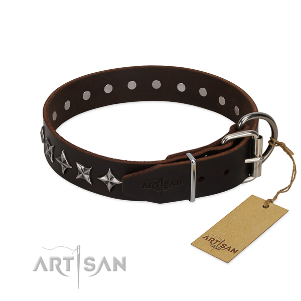 Comfy wearing studded dog collar of durable natural leather