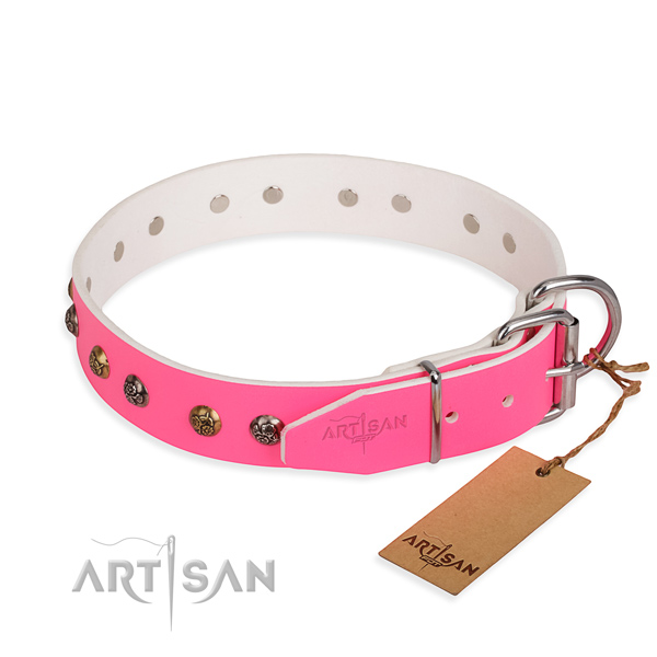 Full grain natural leather dog collar with stunning corrosion proof adornments