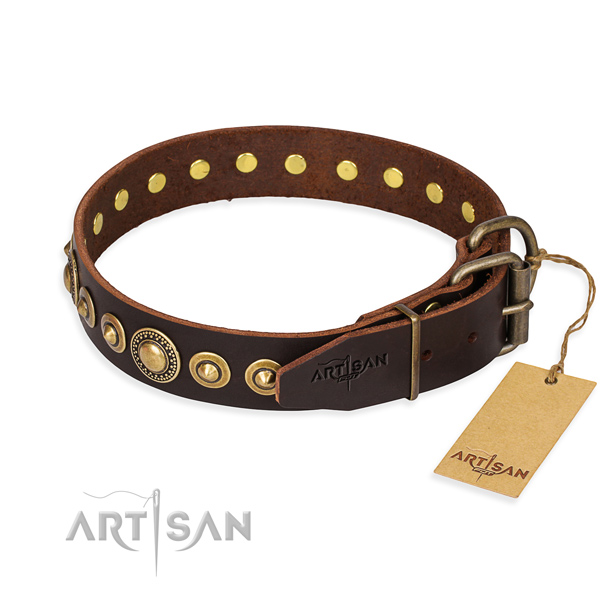 High quality full grain natural leather dog collar crafted for stylish walking