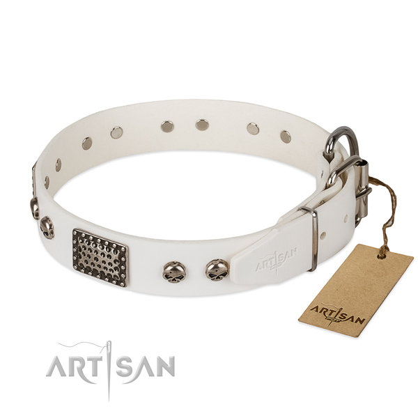 Strong traditional buckle on walking dog collar