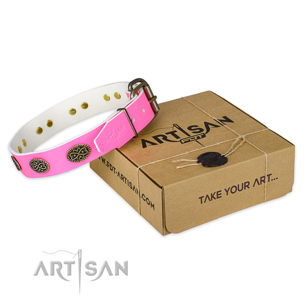Adorned full grain leather dog collar for stylish walking