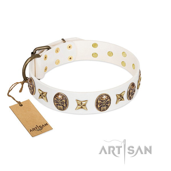 Stylish genuine leather dog collar for fancy walking
