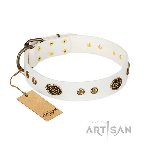 Corrosion resistant decorations on full grain natural leather dog collar for your doggie