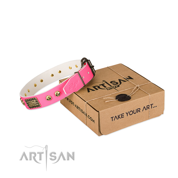 Rust resistant fittings on dog collar for basic training