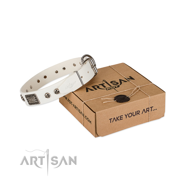 Corrosion proof D-ring on dog collar for walking