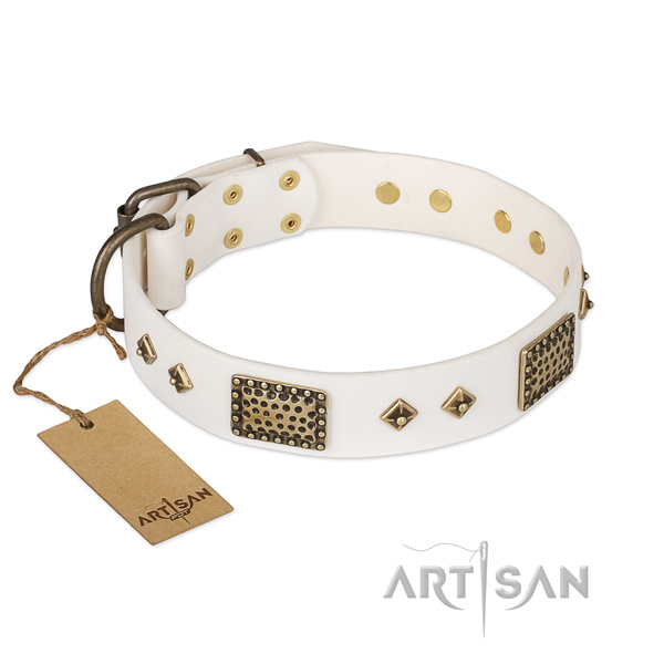 Trendy full grain genuine leather dog collar for walking