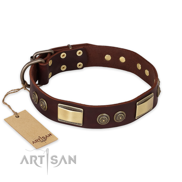 Decorated genuine leather dog collar for stylish walking