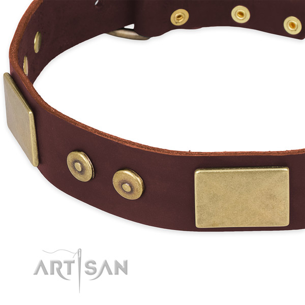 Leather dog collar with embellishments for comfy wearing