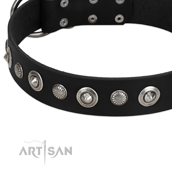 Remarkable studded dog collar of top quality natural leather