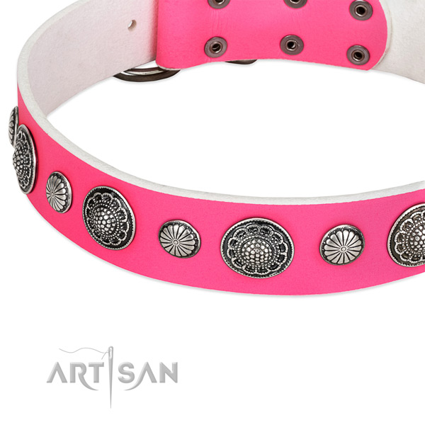 Full grain natural leather collar with corrosion resistant fittings for your stylish dog