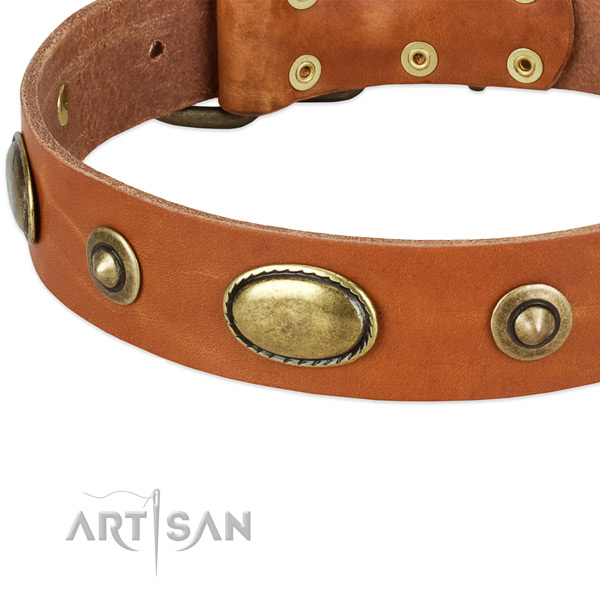 Corrosion proof buckle on full grain genuine leather dog collar for your dog