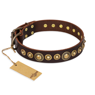 "Ancient Warrior" FDT Artisan Fancy Leather Newfoundland Collar with Old-Bronze Plated Decorations "Ancient Warrior" FDT Artisan Fancy Leather Newfoundland Collar with Old-Bronze Plated Decorations