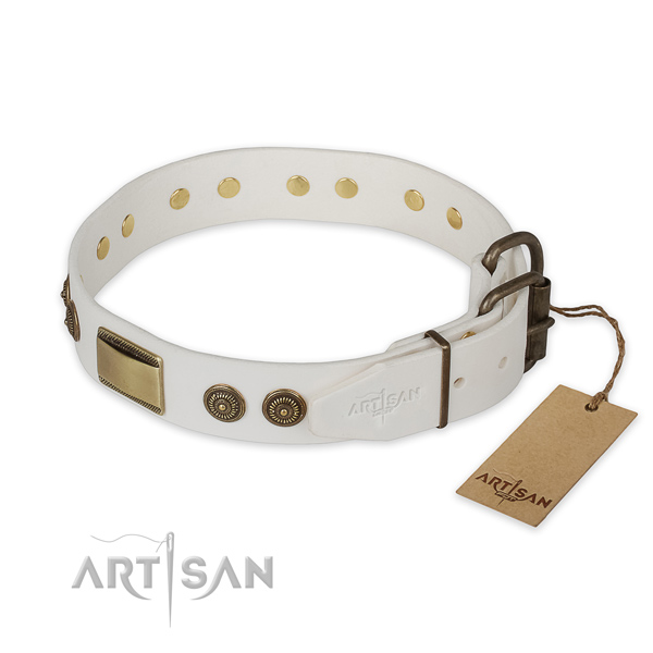 Corrosion resistant traditional buckle on genuine leather collar for everyday walking your canine