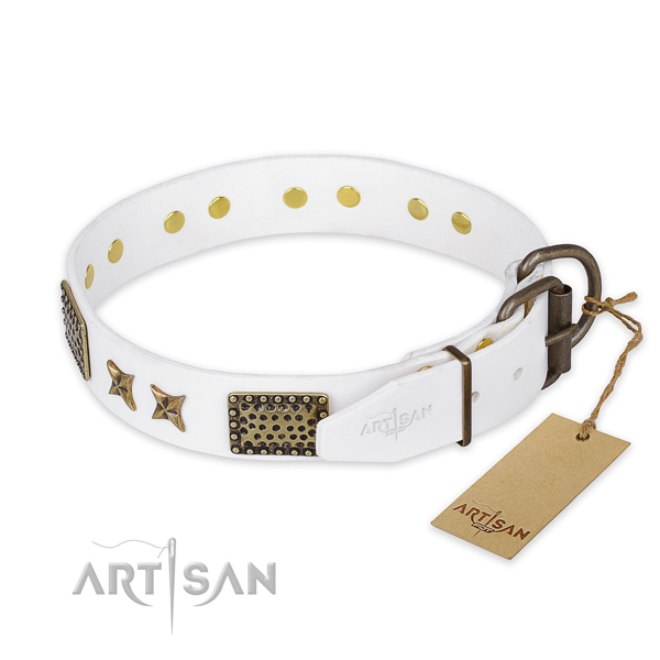 Reliable buckle on genuine leather collar for your impressive dog