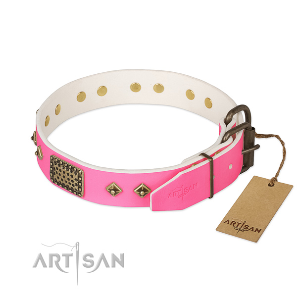 Corrosion resistant buckle on handy use dog collar