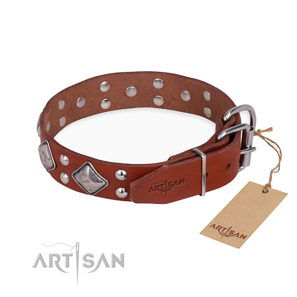 Leather dog collar with impressive rust-proof studs