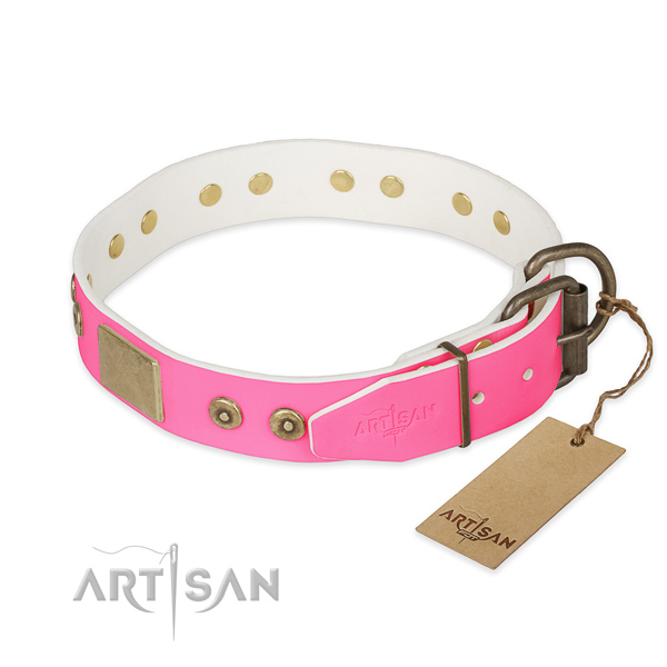 Reliable embellishments on handy use dog collar
