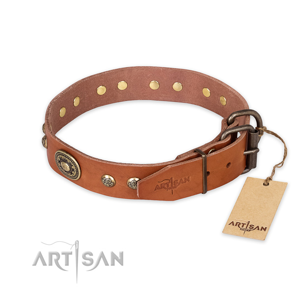 Rust-proof traditional buckle on natural leather collar for basic training your pet