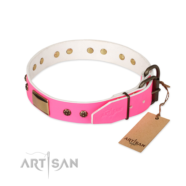 Full grain leather dog collar with durable hardware and studs