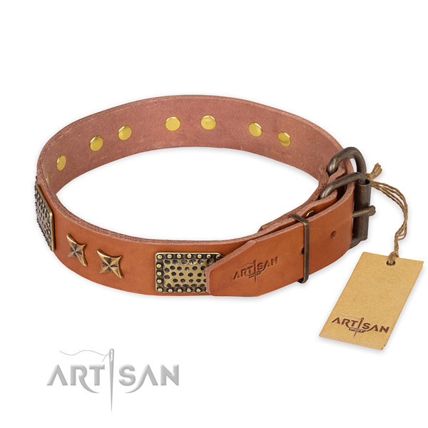 Rust resistant buckle on full grain leather collar for your stylish doggie