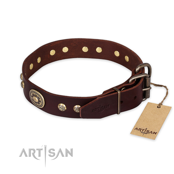 Rust resistant traditional buckle on full grain leather collar for walking your dog