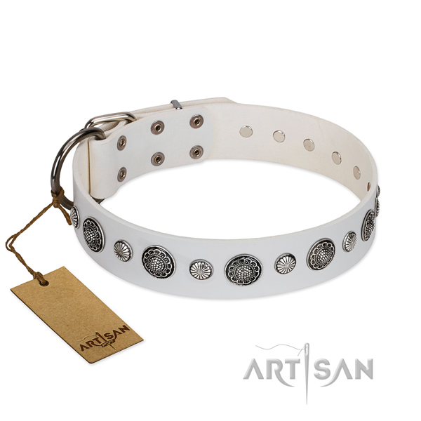 Reliable full grain leather dog collar with rust resistant D-ring