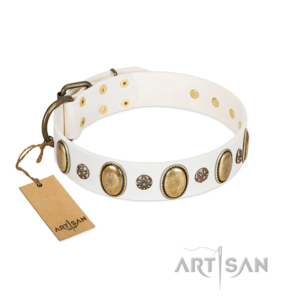 Stylish walking reliable natural genuine leather dog collar