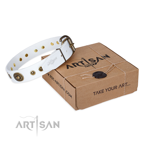 Full grain natural leather dog collar made of reliable material with reliable D-ring