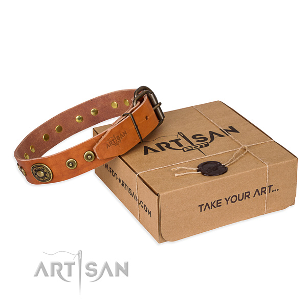 Full grain natural leather dog collar made of quality material with strong buckle