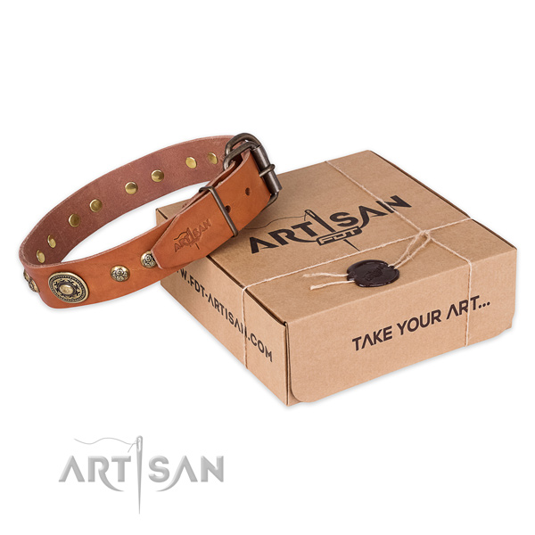 Reliable hardware on full grain genuine leather dog collar for daily walking