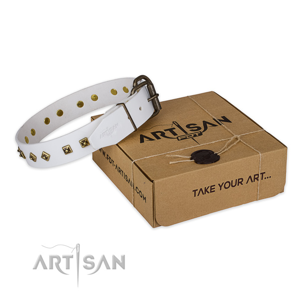 Reliable fittings on genuine leather dog collar for stylish walking