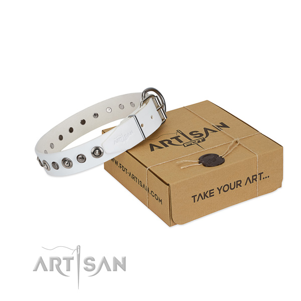 High quality full grain leather dog collar with inimitable studs