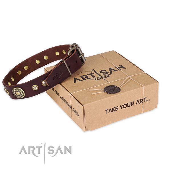 Rust resistant D-ring on full grain leather dog collar for easy wearing