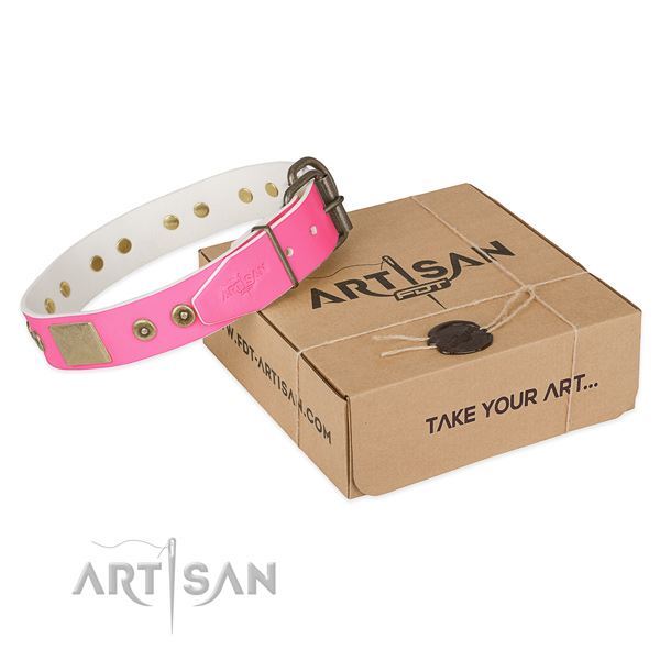 Durable adornments on dog collar for daily walking