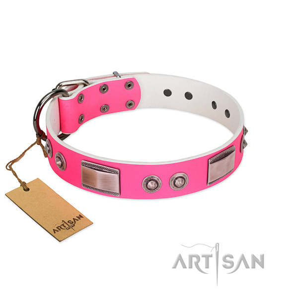 Convenient dog collar of full grain natural leather with embellishments