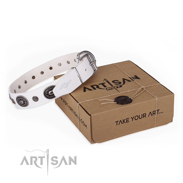 High quality full grain genuine leather dog collar created for basic training