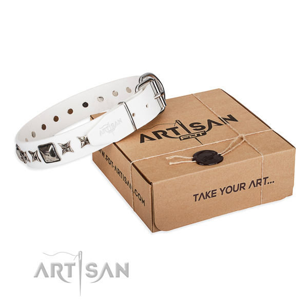 Basic training leather dog collar with decorations