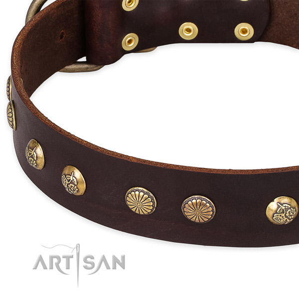 Natural genuine leather collar with durable traditional buckle for your stylish dog