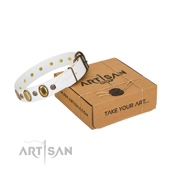 Everyday walking top rate leather dog collar