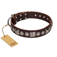 "Pierian spring" FDT Artisan Brown Leather Newfoundland Collar with Silvery Decorations