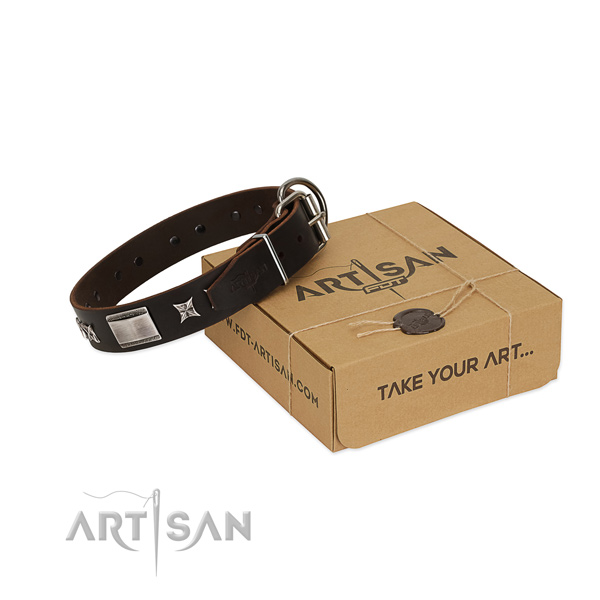 Decorated collar of leather for your attractive pet