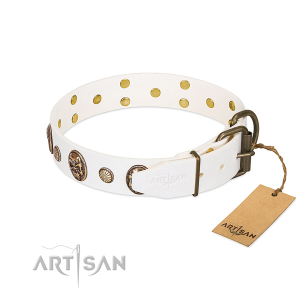 Corrosion proof buckle on full grain natural leather collar for walking your pet