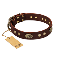 "Old-fashioned Glamor" FDT Artisan Brown Leather Newfoundland Collar with Old Bronze Look Plates and Circles
