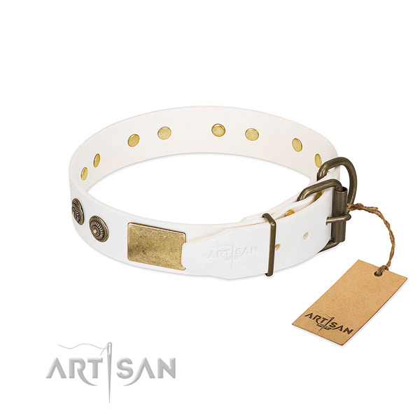 Reliable traditional buckle on full grain leather collar for daily walking your pet