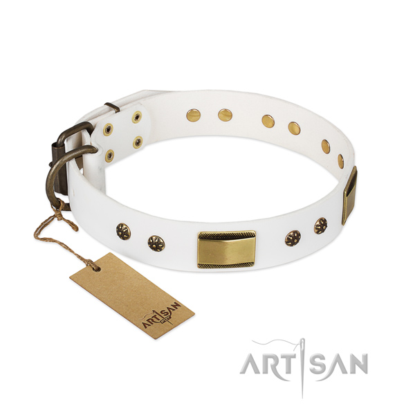 Unique genuine leather collar for your dog
