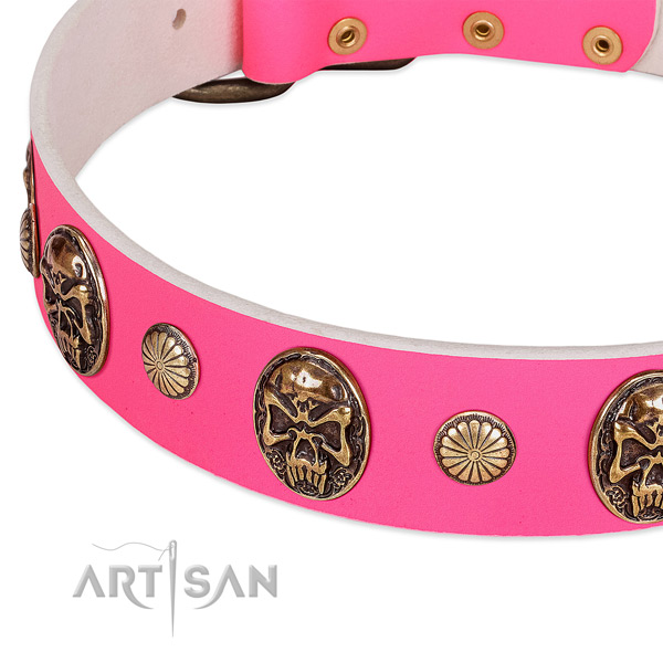 Corrosion resistant studs on full grain natural leather dog collar for your doggie
