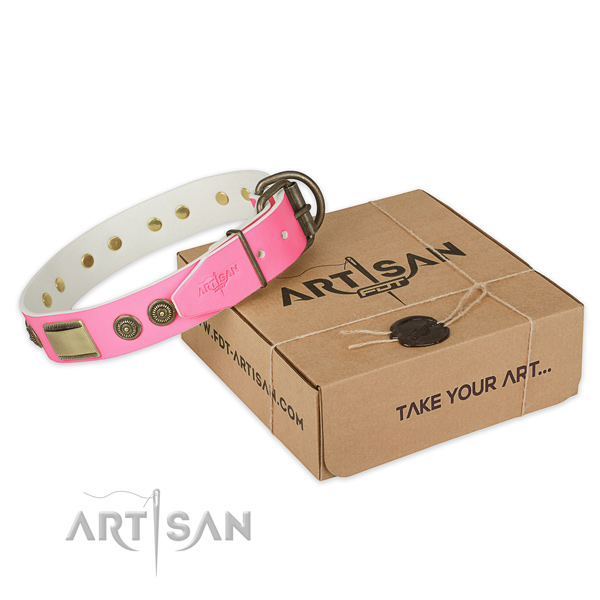 Corrosion proof fittings on dog collar for walking