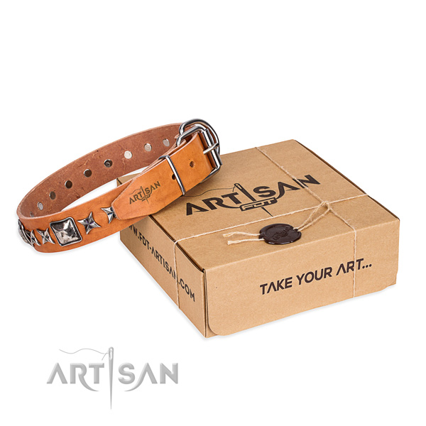 Basic training dog collar of high quality full grain leather with embellishments