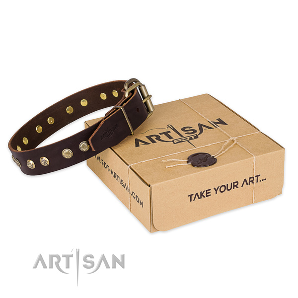 Corrosion proof hardware on full grain natural leather collar for your stylish canine