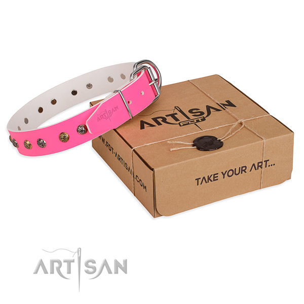 Daily walking dog collar with Stylish corrosion proof decorations
